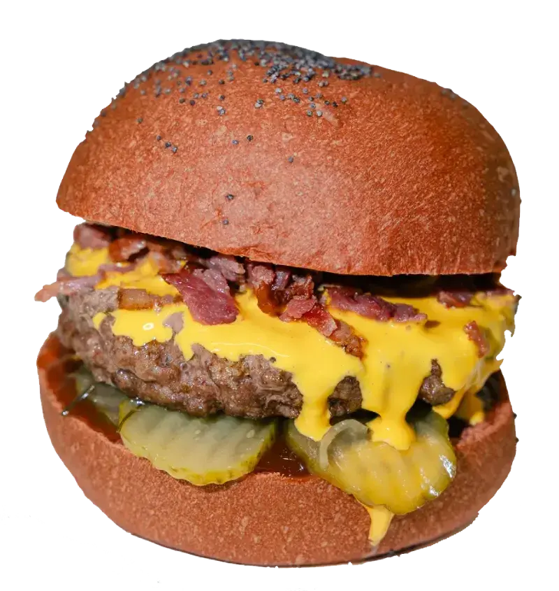 AMERICA